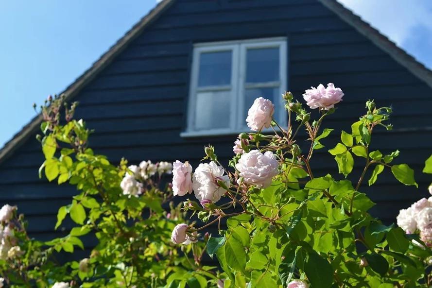 The Cottage Guest House Bishop's Stortford Exterior photo